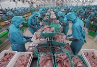 Fisheries sector speeds up to earn 5.4 billion USD in H2